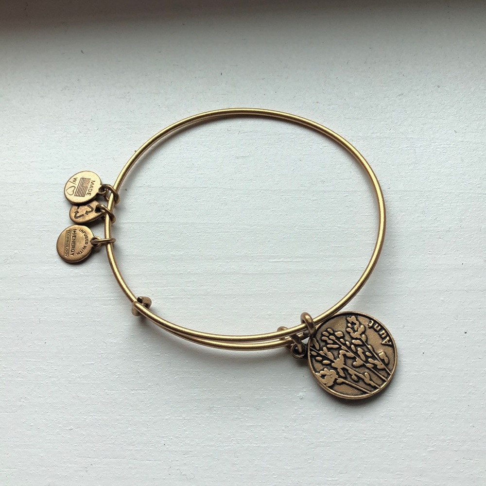 Alex and ani aunt bracelet never worn